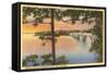 Lake Hamilton, Arkansas-null-Framed Stretched Canvas