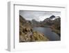 Lake Harris, Routeburn Track, Mount Aspiring National Park, South Island, New Zealand, Pacific-Stuart Black-Framed Photographic Print