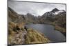 Lake Harris, Routeburn Track, Mount Aspiring National Park, South Island, New Zealand, Pacific-Stuart Black-Mounted Photographic Print