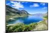 Lake Hawea, Haast Pass, South Island, New Zealand, Pacific-Michael Runkel-Mounted Photographic Print