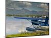 Lake Hood Air Harbor, Anchorage, Alaska-Walter Bibikow-Mounted Photographic Print