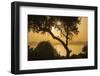 Lake Ichkeul, National Park of Ichkeul, Bizerte Province, Tunisia, North Africa-Nico Tondini-Framed Photographic Print