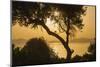 Lake Ichkeul, National Park of Ichkeul, Bizerte Province, Tunisia, North Africa-Nico Tondini-Mounted Photographic Print