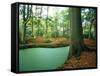 Lake in a Wood-null-Framed Stretched Canvas