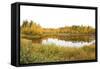 Lake in Autumn-srugina-Framed Stretched Canvas