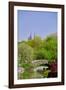 Lake in Central Park in Spring with Dakota Apartments in background, New York City, New York-null-Framed Photographic Print