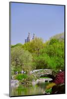 Lake in Central Park in Spring with Dakota Apartments in background, New York City, New York-null-Mounted Photographic Print