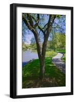 Lake in Central Park in the Spring, New York City, New York-null-Framed Photographic Print