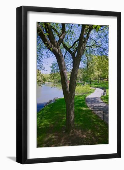 Lake in Central Park in the Spring, New York City, New York-null-Framed Photographic Print