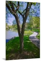 Lake in Central Park in the Spring, New York City, New York-null-Mounted Premium Photographic Print