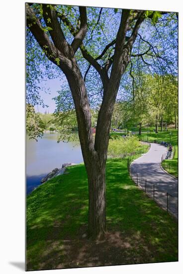 Lake in Central Park in the Spring, New York City, New York-null-Mounted Premium Photographic Print
