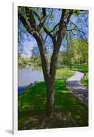 Lake in Central Park in the Spring, New York City, New York-null-Framed Photographic Print