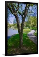 Lake in Central Park in the Spring, New York City, New York-null-Framed Photographic Print