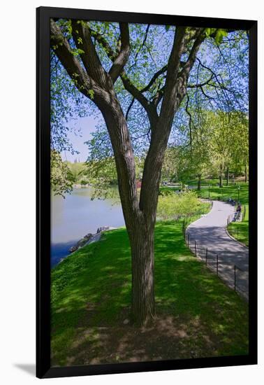 Lake in Central Park in the Spring, New York City, New York-null-Framed Photographic Print