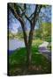 Lake in Central Park in the Spring, New York City, New York-null-Stretched Canvas