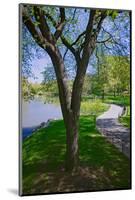 Lake in Central Park in the Spring, New York City, New York-null-Mounted Photographic Print