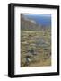 Lake in Crater, Orongo, Easter Island, Chile, South America-Jean-Pierre De Mann-Framed Photographic Print