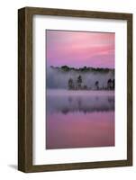Lake in morning mist, Michigan, USA-Sylvain Cordier-Framed Photographic Print