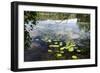 Lake in Norway-Felipe Rodríguez-Framed Photographic Print