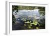 Lake in Norway-Felipe Rodríguez-Framed Photographic Print