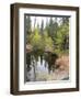 Lake In Sierras-NaxArt-Framed Art Print