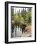 Lake In Sierras-NaxArt-Framed Art Print