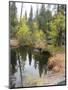 Lake In Sierras-NaxArt-Mounted Art Print