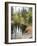 Lake In Sierras-NaxArt-Framed Art Print