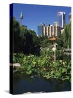 Lake in the Chinese Garden at Darling Harbour, Sydney, New South Wales, Australia-Richardson Rolf-Stretched Canvas