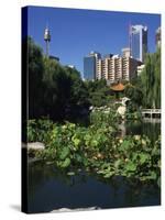 Lake in the Chinese Garden at Darling Harbour, Sydney, New South Wales, Australia-Richardson Rolf-Stretched Canvas