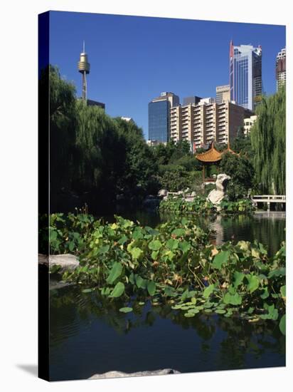 Lake in the Chinese Garden at Darling Harbour, Sydney, New South Wales, Australia-Richardson Rolf-Stretched Canvas