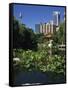 Lake in the Chinese Garden at Darling Harbour, Sydney, New South Wales, Australia-Richardson Rolf-Framed Stretched Canvas