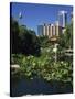 Lake in the Chinese Garden at Darling Harbour, Sydney, New South Wales, Australia-Richardson Rolf-Stretched Canvas