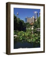 Lake in the Chinese Garden at Darling Harbour, Sydney, New South Wales, Australia-Richardson Rolf-Framed Photographic Print