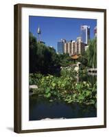 Lake in the Chinese Garden at Darling Harbour, Sydney, New South Wales, Australia-Richardson Rolf-Framed Photographic Print