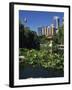 Lake in the Chinese Garden at Darling Harbour, Sydney, New South Wales, Australia-Richardson Rolf-Framed Photographic Print