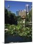 Lake in the Chinese Garden at Darling Harbour, Sydney, New South Wales, Australia-Richardson Rolf-Mounted Photographic Print