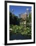 Lake in the Chinese Garden at Darling Harbour, Sydney, New South Wales, Australia-Richardson Rolf-Framed Photographic Print