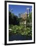 Lake in the Chinese Garden at Darling Harbour, Sydney, New South Wales, Australia-Richardson Rolf-Framed Photographic Print