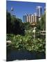 Lake in the Chinese Garden at Darling Harbour, Sydney, New South Wales, Australia-Richardson Rolf-Mounted Photographic Print