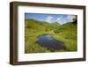 Lake in the Green Valley-Samuel Magal-Framed Photographic Print