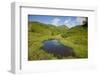 Lake in the Green Valley-Samuel Magal-Framed Photographic Print