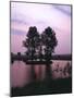 Lake, Island, Trees, Evening Mood-Thonig-Mounted Photographic Print