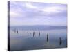 Lake Issyk-Kul at Balikchi, Kyrgyzstan, Central Asia-Upperhall Ltd-Stretched Canvas