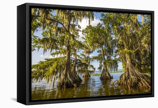 Lake Istapoga 2-Dennis Goodman-Framed Stretched Canvas