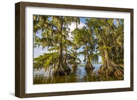 Lake Istapoga 2-Dennis Goodman-Framed Photographic Print