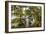 Lake Istapoga 2-Dennis Goodman-Framed Photographic Print