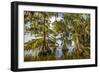 Lake Istapoga 2-Dennis Goodman-Framed Photographic Print