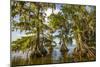 Lake Istapoga 2-Dennis Goodman-Mounted Photographic Print