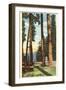 Lake Itasca, Minnesota-null-Framed Art Print